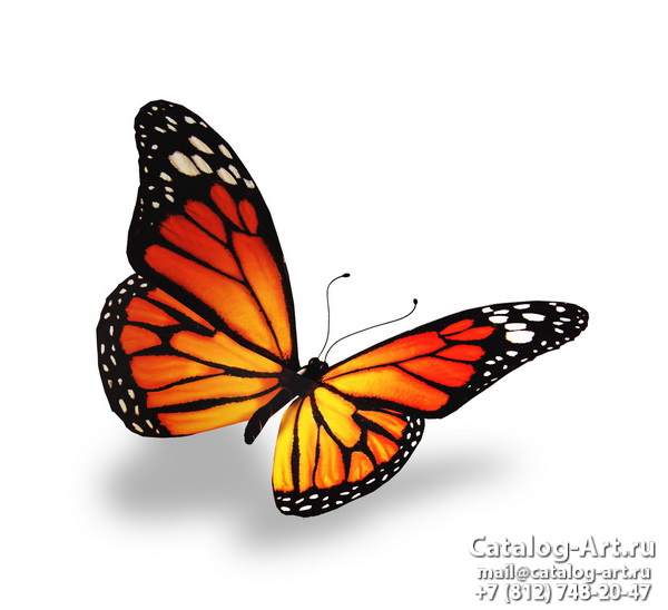  Butterflies 120